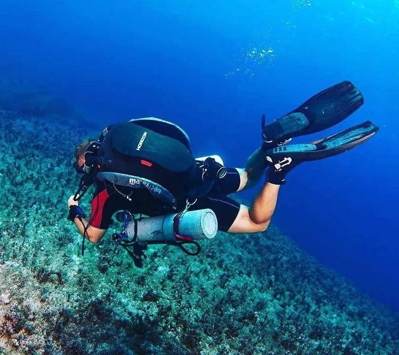 救援深海动物